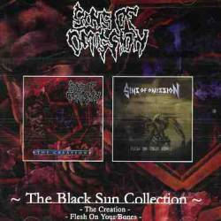 Sins Of Omission : The Black Sun Collection